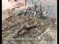 Entrevista Tv Vitria- Reclamao do lixo no bairro Santa Rita- 27 05 2010