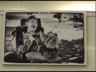 Entrevista Redetv ES - Exposio "Alm do Olhar" - 28/03/2014