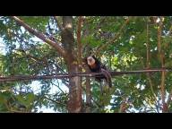 Conscientizao Ambiental: sbado, 2 de junho, caminhada no Parque da Manteigueira